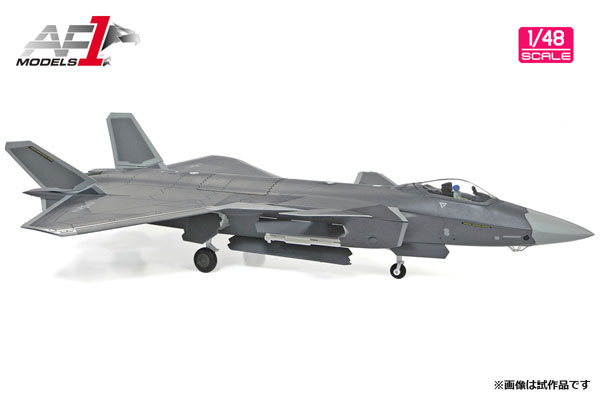 1/48 中国人民解放軍空軍 ステルス戦闘機 J-20[Air Force 1]《在庫切れ》