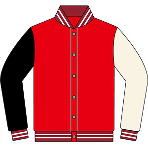 アイドルマスター シャイニーカラーズ ブレイブヒーロージャージ 園田