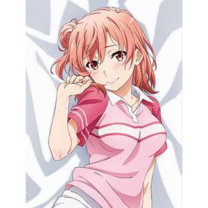 やはり俺の青春ラブコメはまちがっている。完 描き下ろし スムース抱き