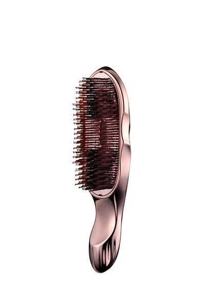 リファイオンケアブラシ プレミアム ION CARE BRUSH PREMIUM 110g ReFa