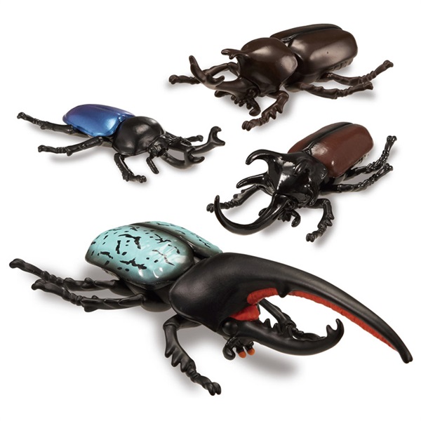 予約 2026年4月25日発売 アニア 世界の昆虫バトルセット お一人さま3点