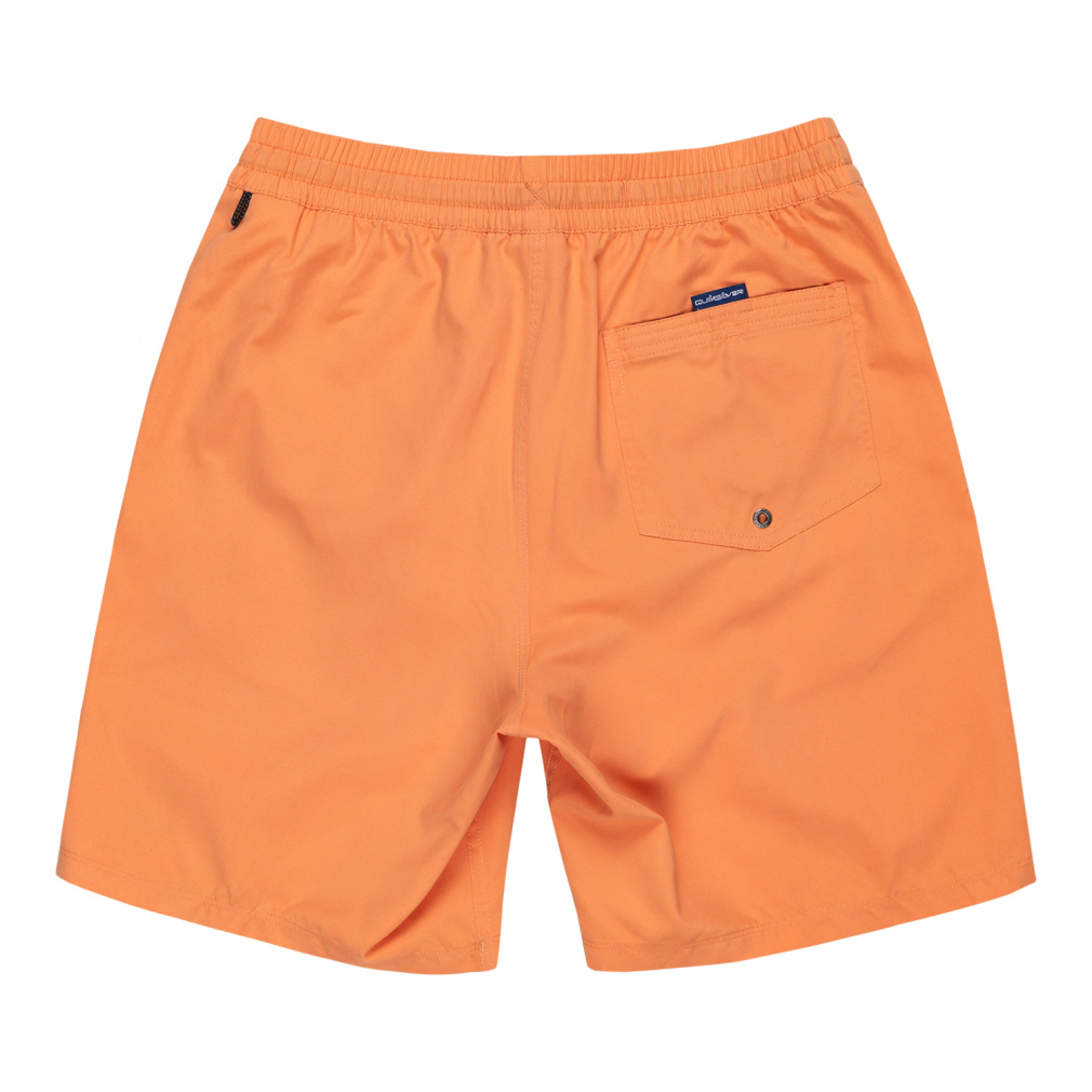 2025春夏 クイックシルバー メンズ マリン ボードショーツ EVERYDAY