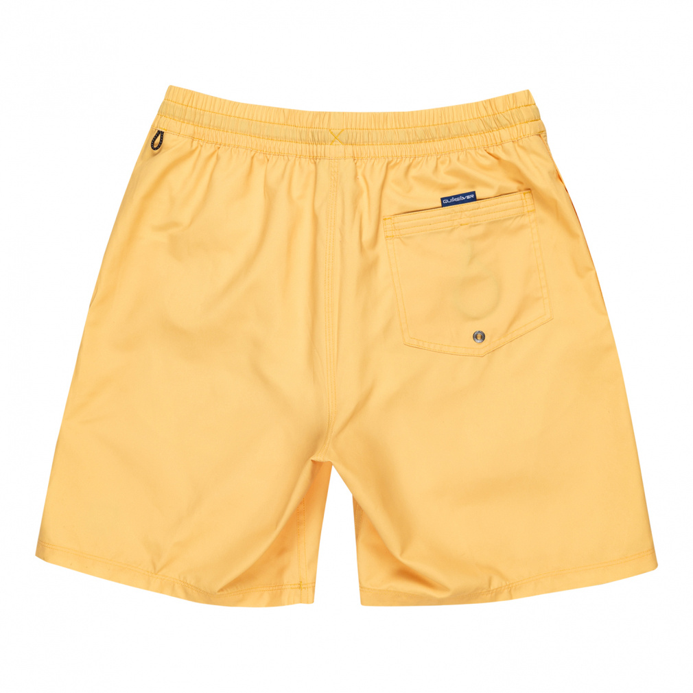 2025春夏 クイックシルバー メンズ マリン ボードショーツ EVERYDAY