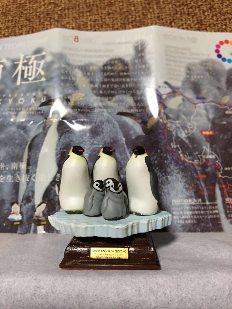 新品 南極 初期版(赤台座) 全8種 コンプリート ネイチャーテクニカラー