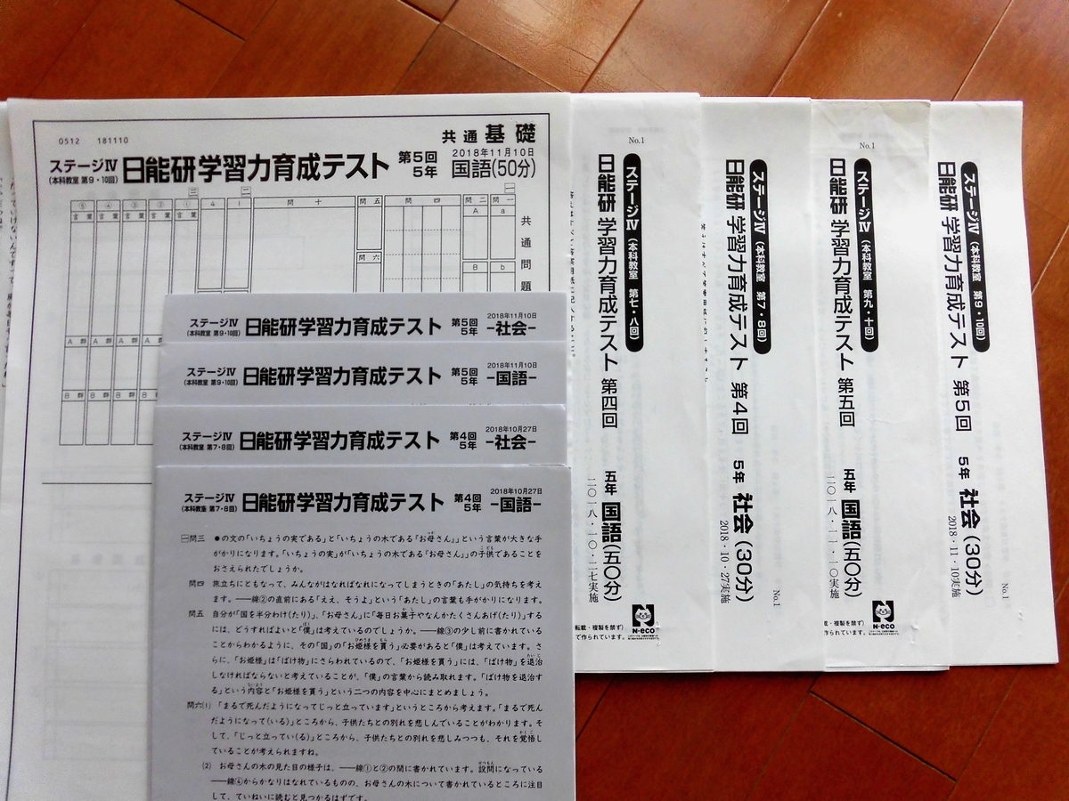 日能研 6年生 学習力育成テスト 2023年度 2月〜7月 17回分 育成テスト