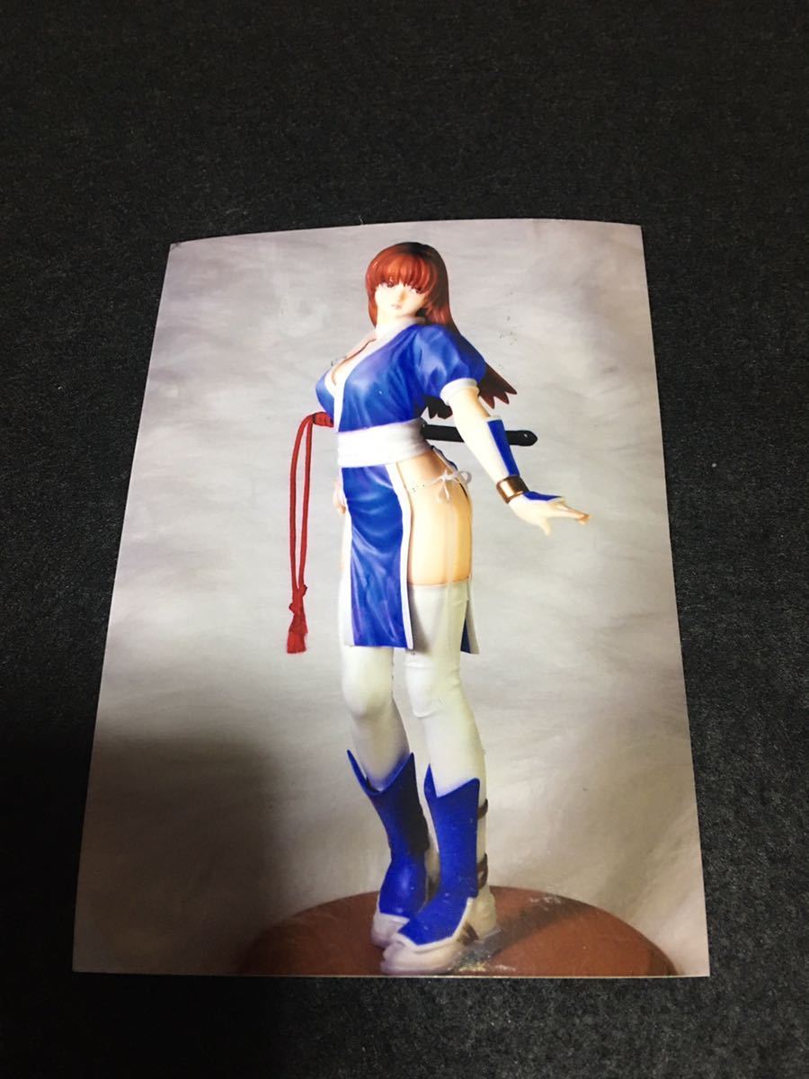 レイファン［デッドオアアライブDOA］ 1/6 アミエグラン