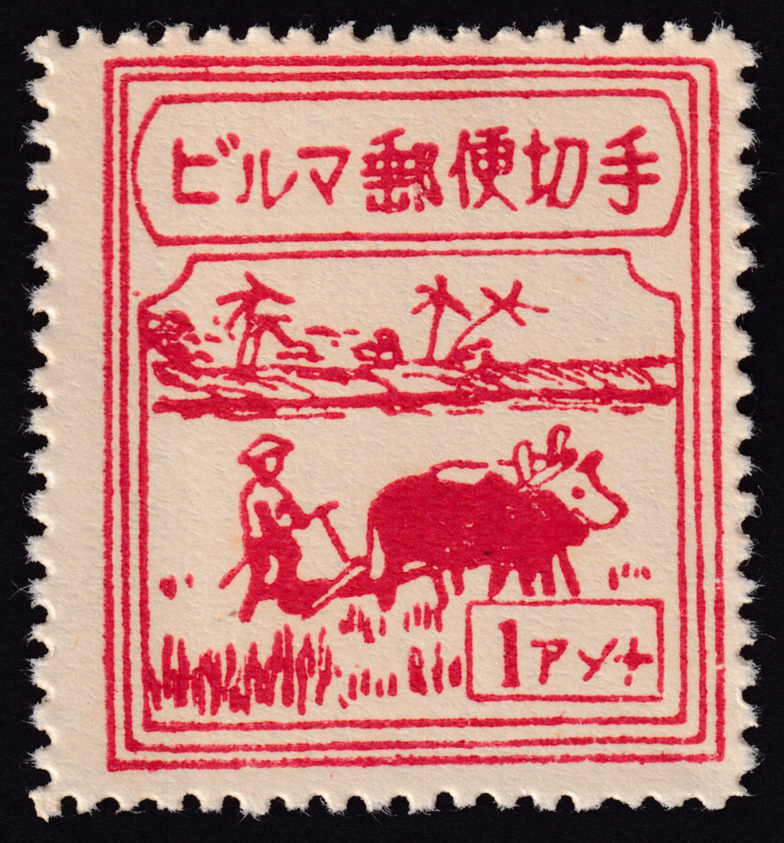 南方占領地切手 正刷 ビルマ 第1次普通切手 1アンナ 未使用 NH JSDA:占