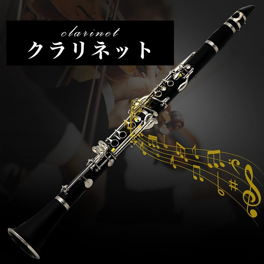 クラリネット 基本セット 10リード 付 練習 お手入れセット グリス