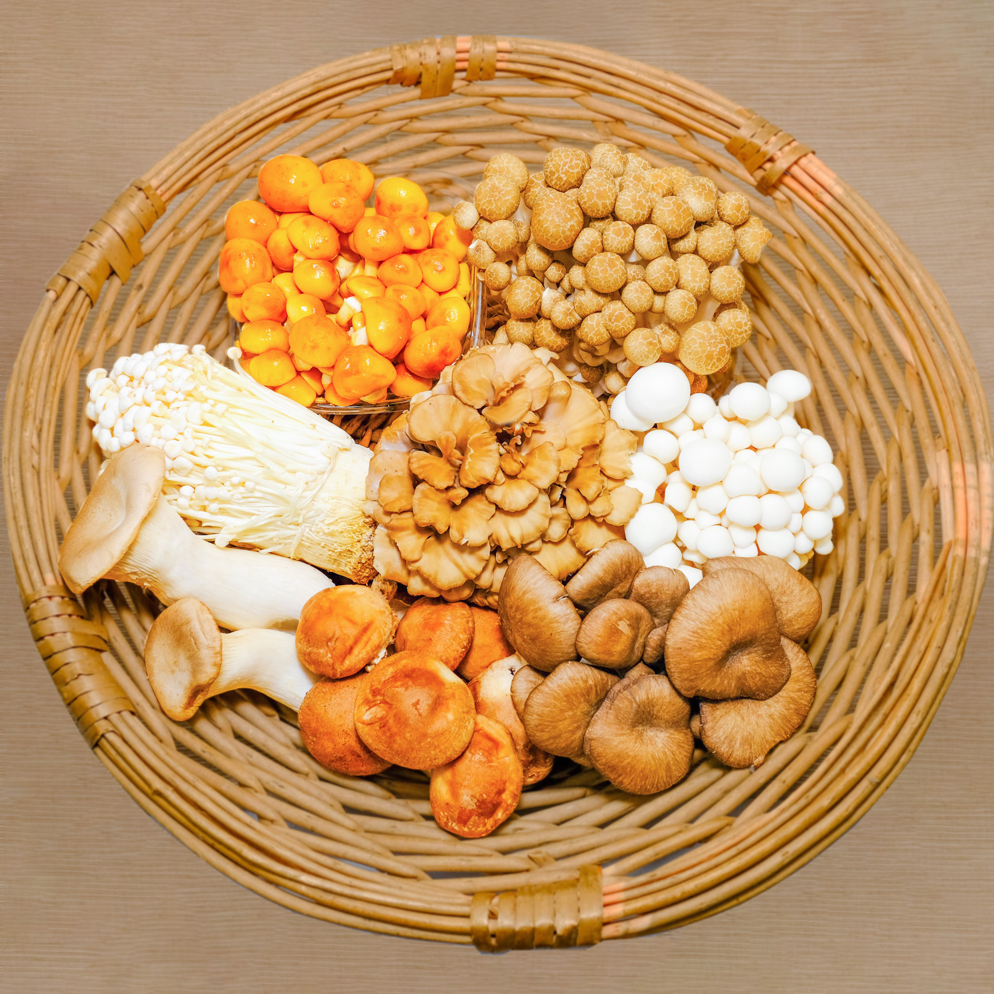 長野・新潟県産きのこセット 8種類 シイタケ ヒラタケ マイタケ