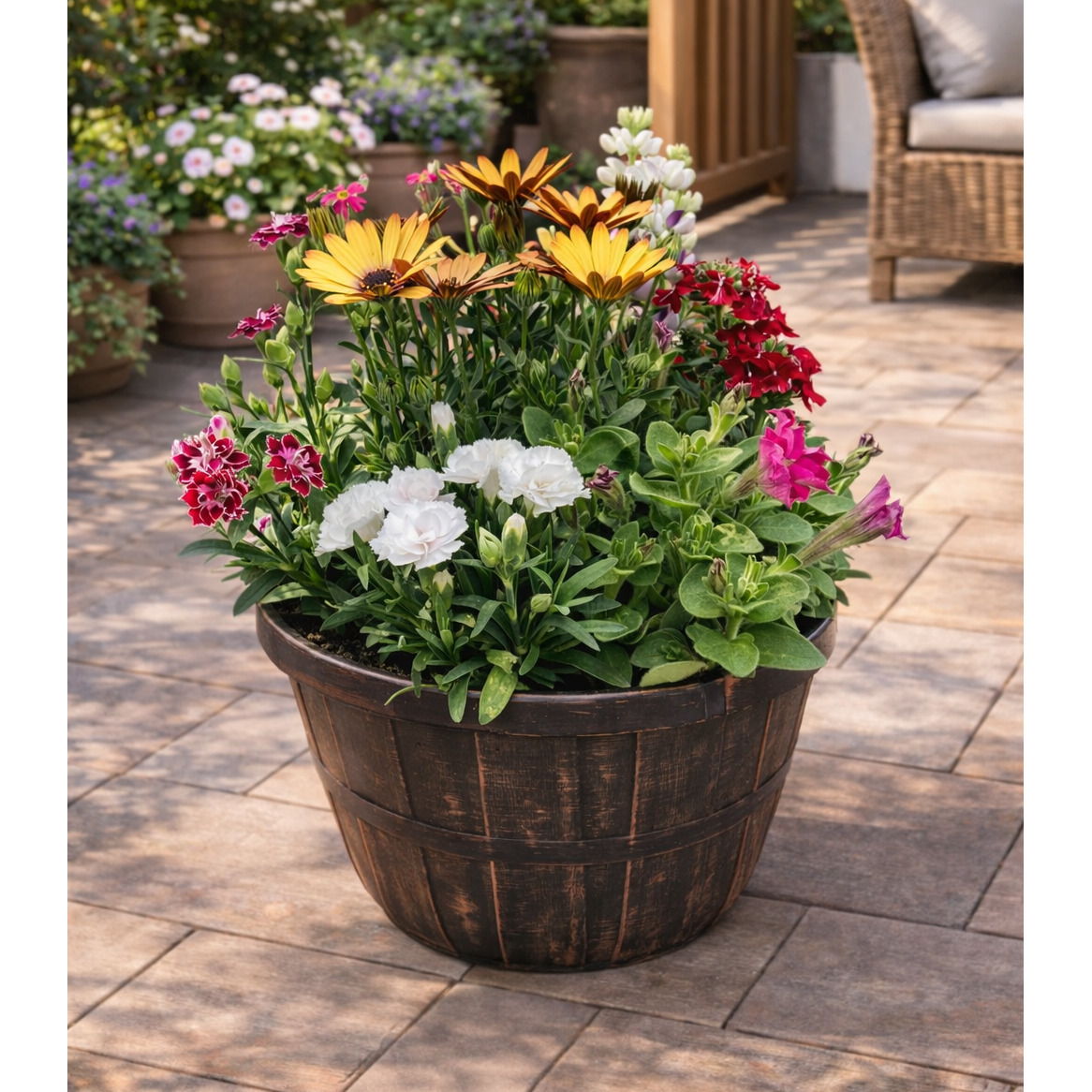 季節の寄せ植え アンティーク柄 9号鉢 （レッド・4色展開）6～7種類の