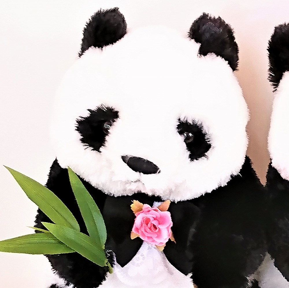 仲良しファミリーシリーズ】 ウェルカムドールパンダの親子 3体セット