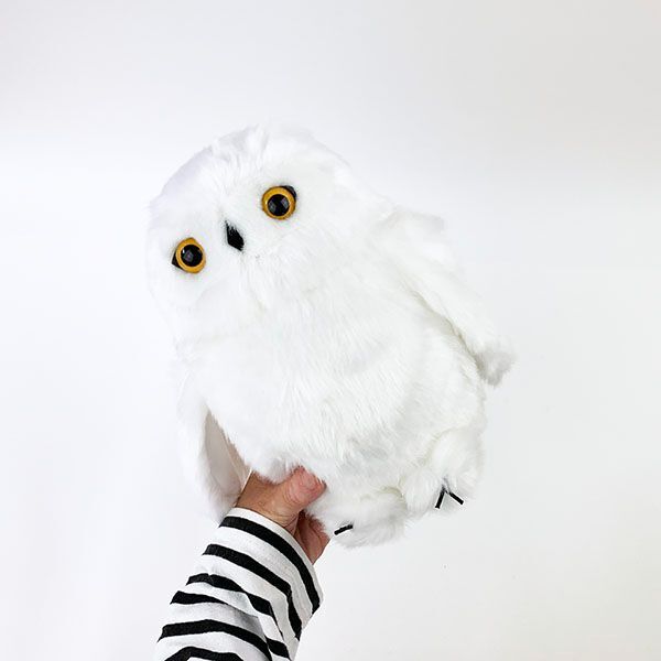 りくのなかまたち ホワイトフクロウ ぬいぐるみ L うみのなかまたち