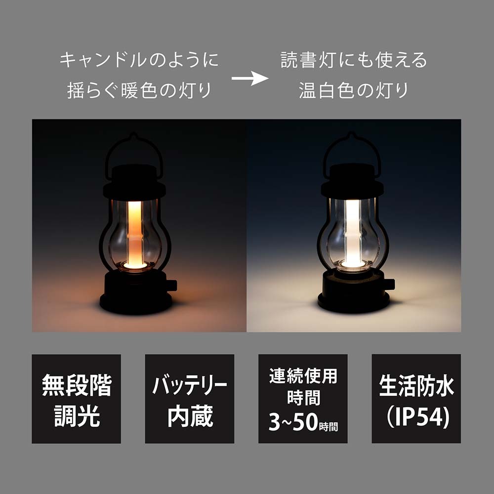 名入れ代込み】【正規店BOX付】バルミューダ BALMUDA The Lantern