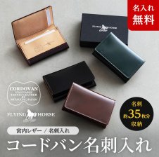 JALオリジナル トラベル衣類ケース Chikazawa 近沢レース店 ケース