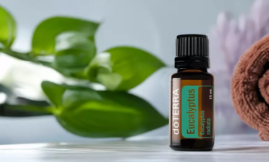 doTERRA Eucalyptus 15 mL pure | Groupon Goods