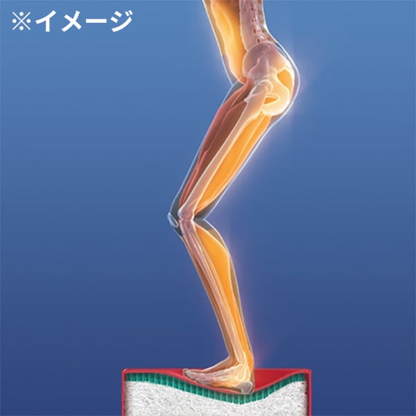 パーフェクトエクサ 通販 - ディノス