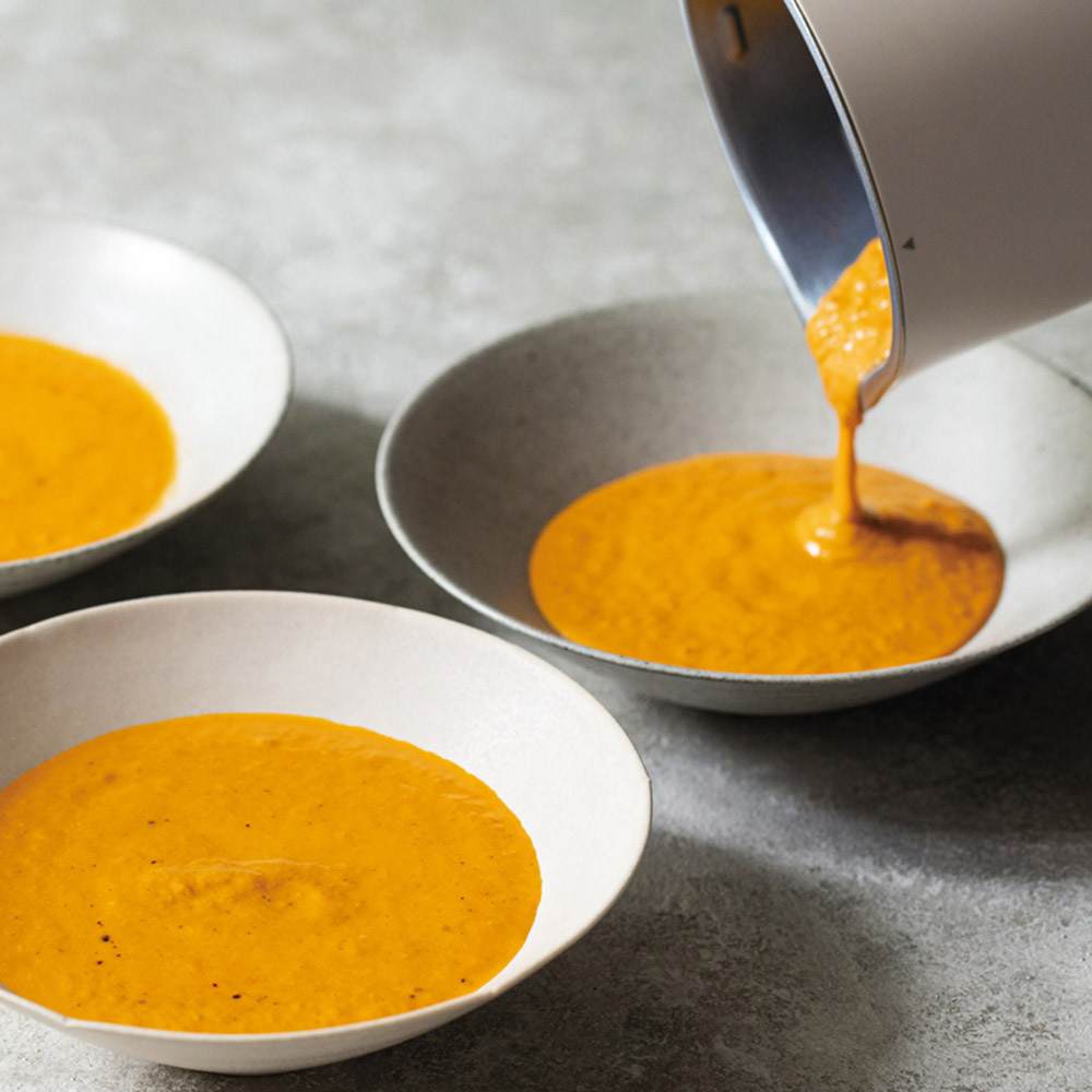 recolte 自動調理ポット 通販 - ディノス