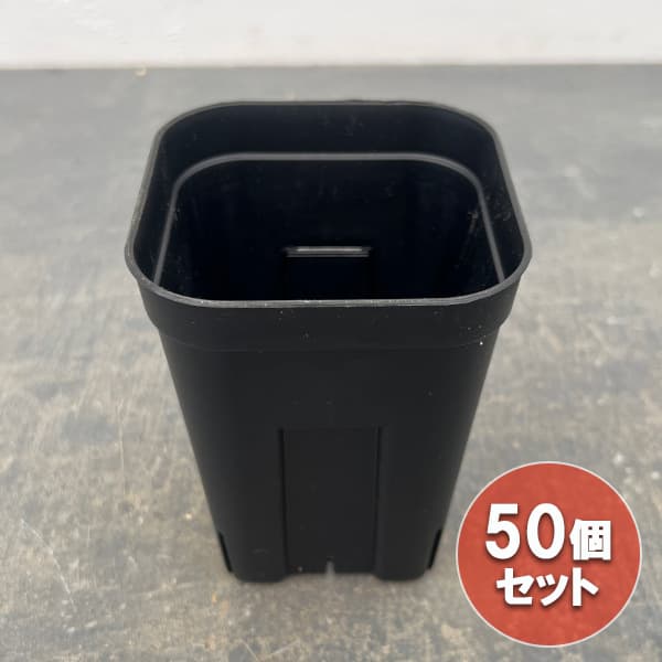 園芸ネット本店｜プレステラ105型 深鉢 ブラック 50個セット の通販