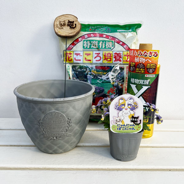 園芸ネット本店｜見元園芸さんのビオラ：にゃんにゃんぽこにゃん