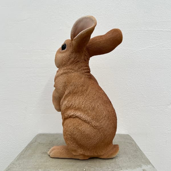 園芸ネット本店｜WooBia：見上げて立つベージュ白ウサギ（H12207-3
