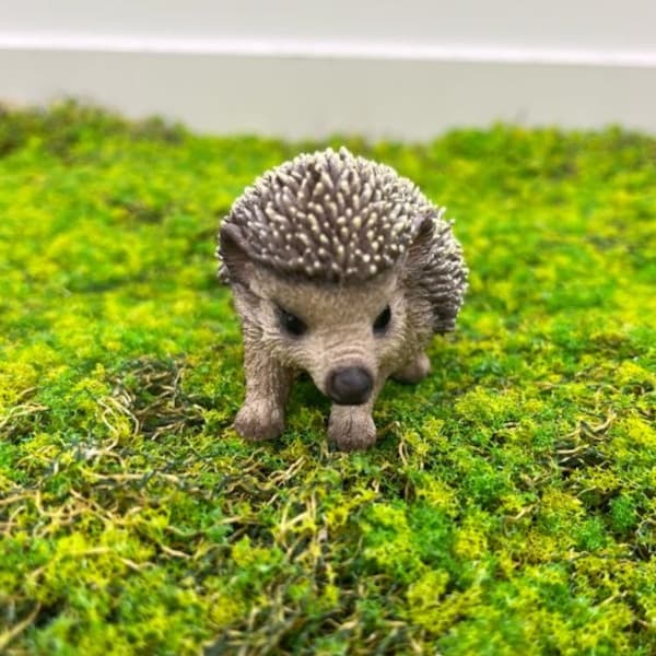 園芸ネット本店｜WooBia：ハリネズミの赤ちゃん（H20525-P） の通販