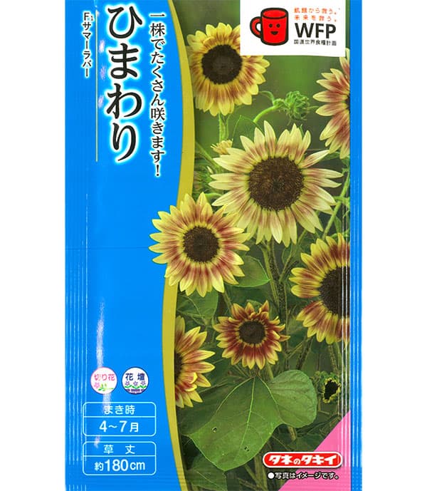 園芸ネット本店｜ヒマワリ：F1サマーラバー[春～夏まき タキイ 花タネ