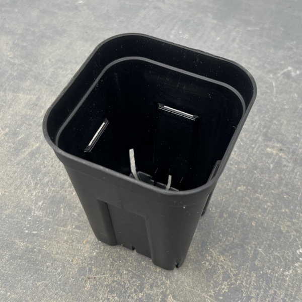 園芸ネット本店｜プレステラ105型 深鉢 ブラック 100個セット の通販