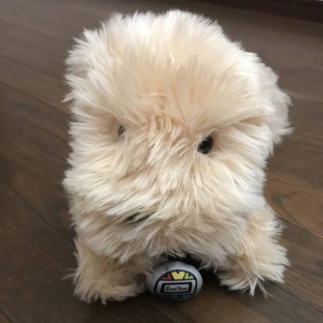 USJ - USJ 限定。レア‼︎ バックトゥザフューチャー アインシュタイン