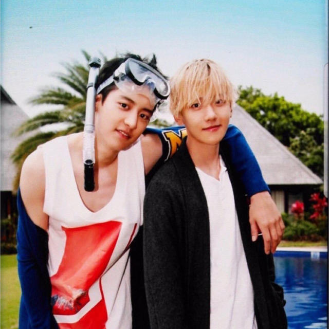 EXO - チャニョル ベッキョン トレカの通販 by r's shop｜エクソならラクマ