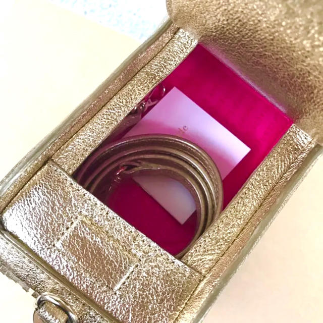 kate spade NEW YORK - レア大人気ケイトスペード完売ピニャータ入手