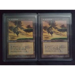 mtg セラの聖域のフリマアイテム一覧