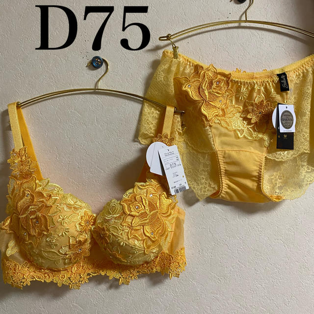 Wacoal - 新品希少！D75サルート88店舗限定 イエロー ブリジットの通販