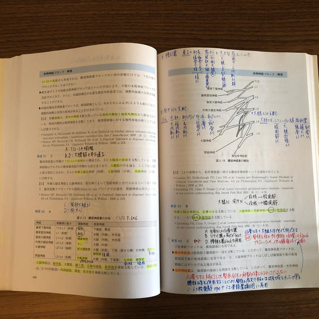 問題形式で学ぶ区域麻酔と疼痛治療の通販 by ao's shop｜ラクマ