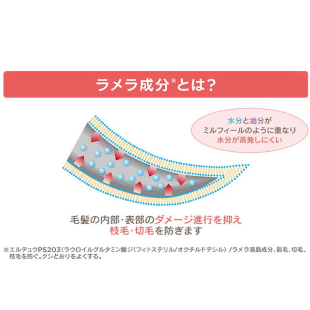 FTC - トワコスタイル セレブヘアラメラシャンプー&トリートメント