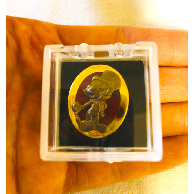 Disney - ✨特価【✨超レア✨未使用】ディズニーキャスト トレーナー