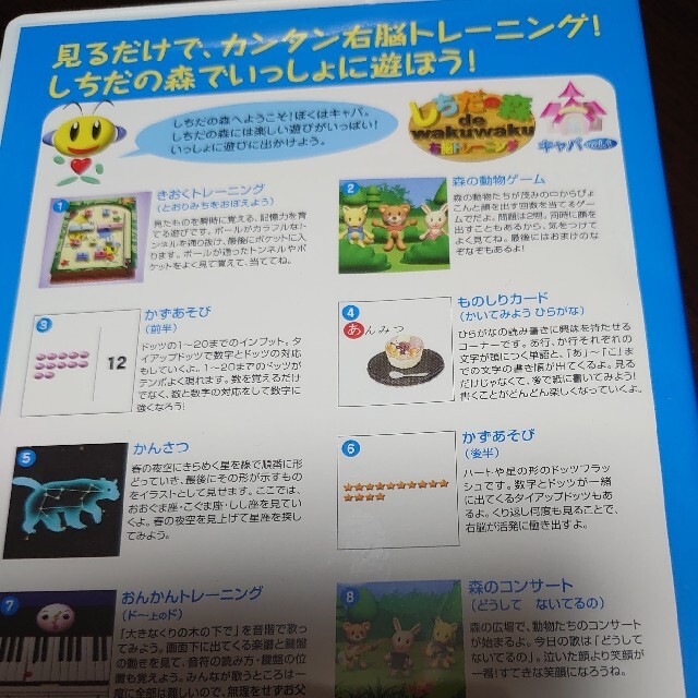 七田式 しちだの森 DVDの通販 by はれるーや ｜ラクマ