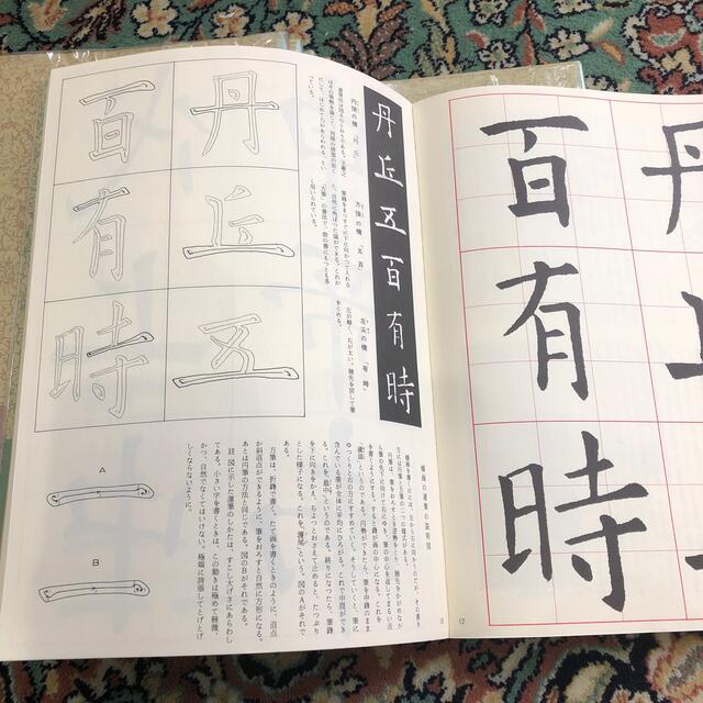 二玄社「書道技法講座」八冊の通販 by エル's shop｜ラクマ