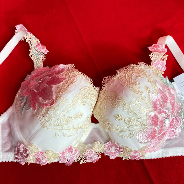 Wacoal - サルート 夕陽の余韻 G65&ソングM IV 店舗限定の通販 by 春水