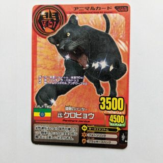 1269166871.jpg?1625281209