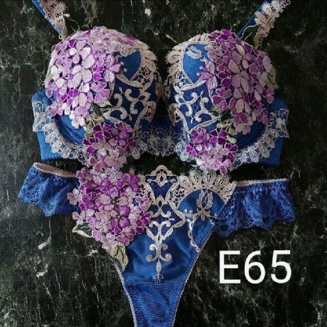 Wacoal - サルート49G E65 & ソングMの通販 by ちゃこ's shop