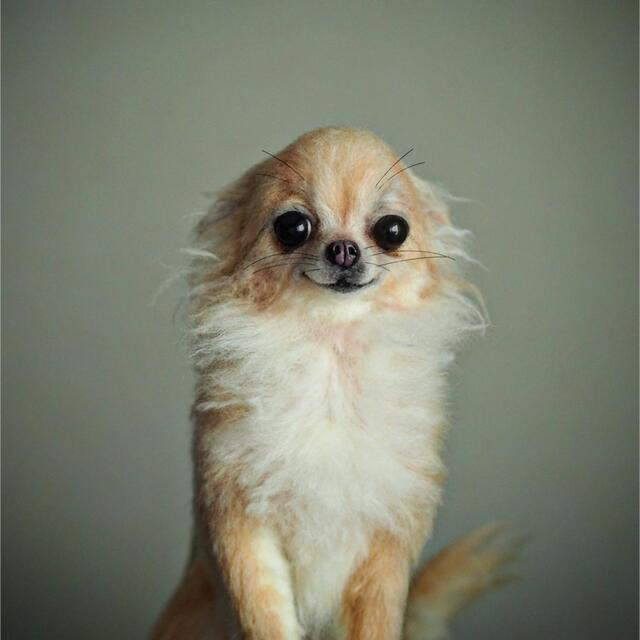 羊毛フェルト ハンドメイド ロングコートチワワ 参考画面の通販 by