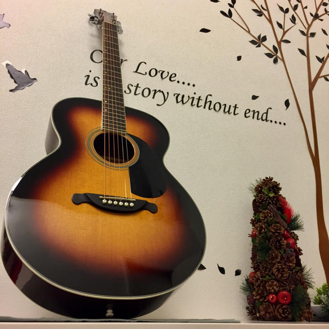 James - ①送料込み James JF350TS トップ単板❗️新品同様‼️の通販