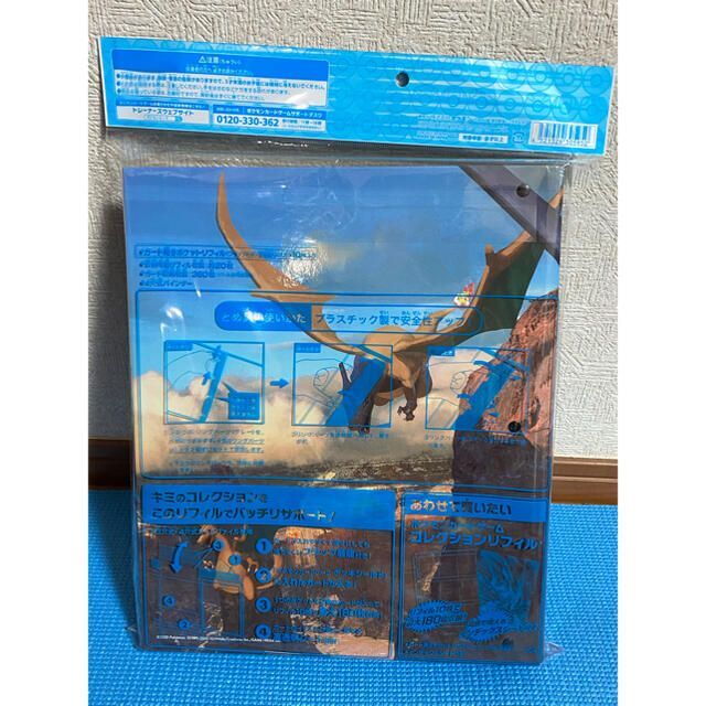 ポケモン - ポケモンカードゲーム コレクションファイル 色違いの