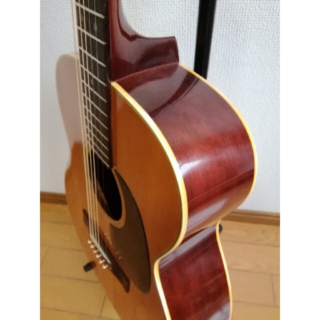 FOLEX 「F 120」アコースティックギター フォレックス 全音楽器？の