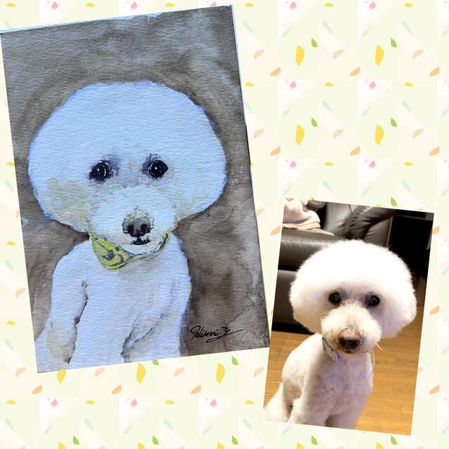 プードル 水彩画 原画 手描き イラストの通販 by ウラン ｜ラクマ