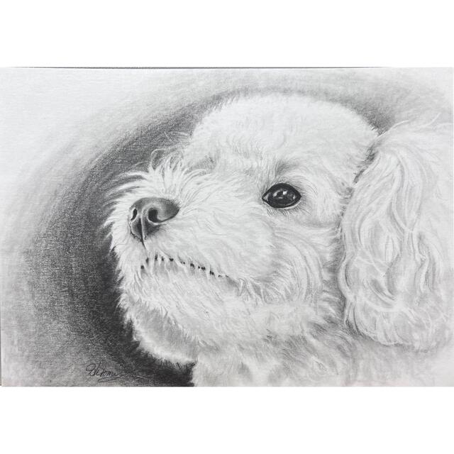 プードル 水彩画 原画 手描き イラストの通販 by ウラン ｜ラクマ