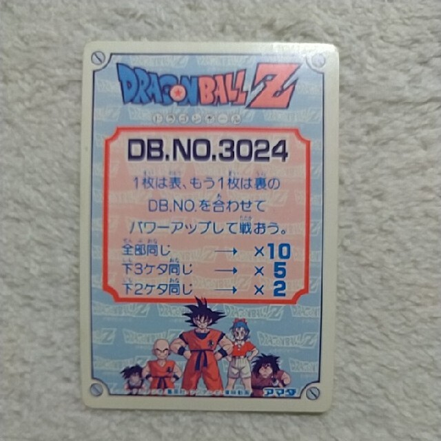 ドラゴンボール カードダス PPカード アマダ No.234ライチとザクーロ