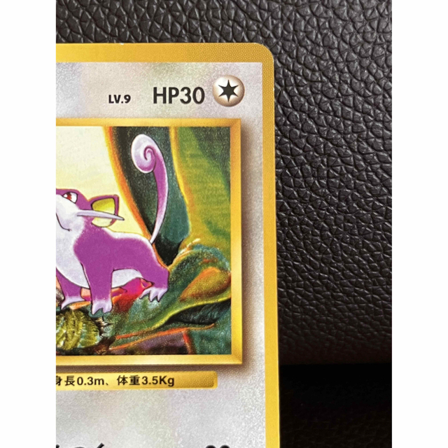 ポケモン - 未使用 ポケモンカード 旧裏面 コラッタ No.019 LV.9 HP30