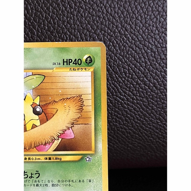 ポケモン - 未使用 ポケモンカード 旧裏 ヒマナッツ No.191 LV.16 HP40