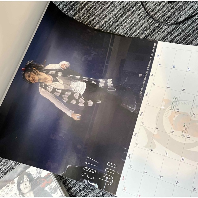 Acid Black Cherry グッズ まとめ売りの通販 by ( ¨̮ )/♡｜ラクマ